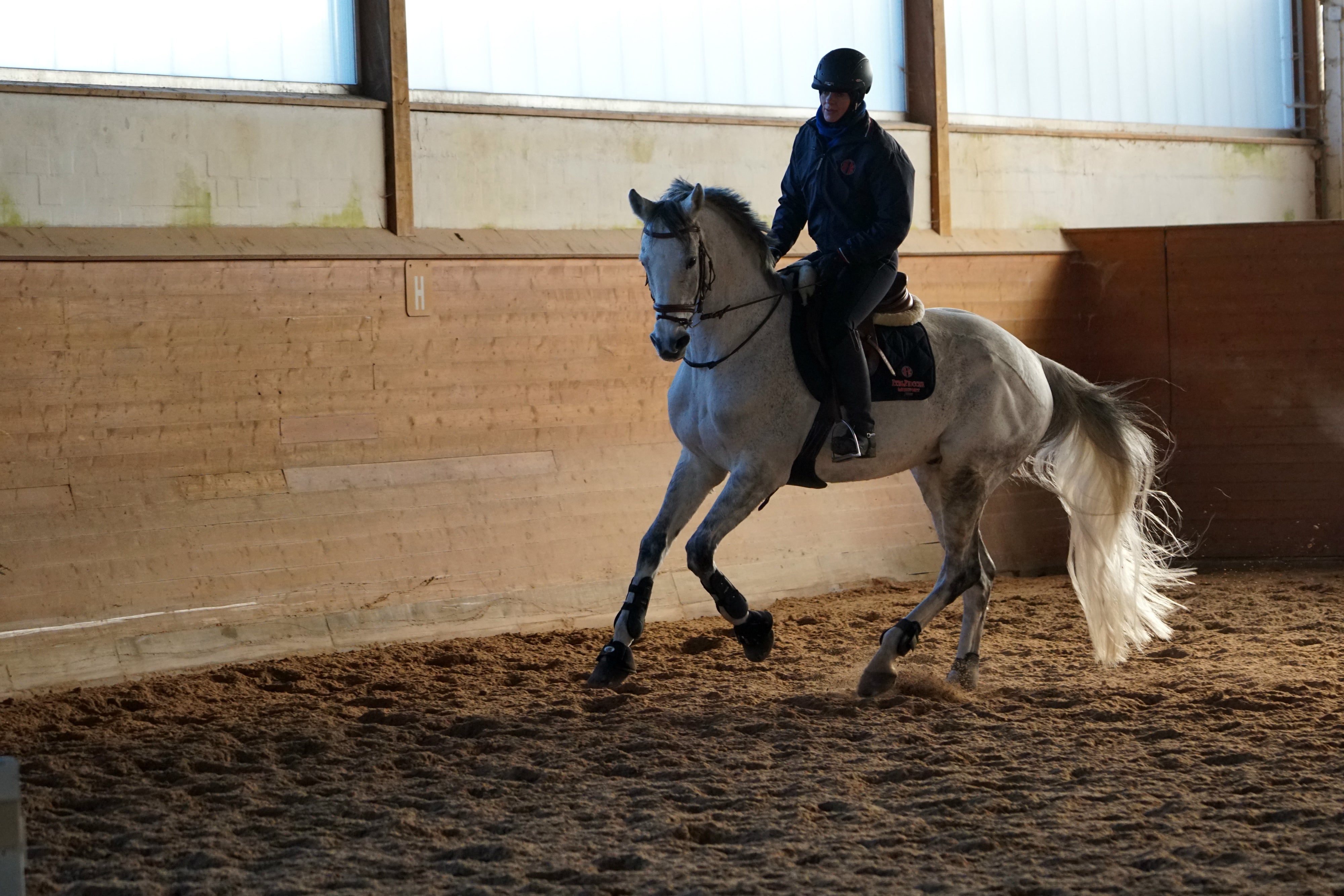 Wiedereinstieg in den Reitsport