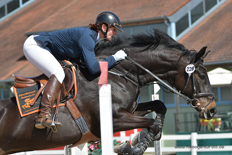 Pferdefitness und Pferdegesundheit: Tipps und Übungen für eine starke und gesunde Muskulatur