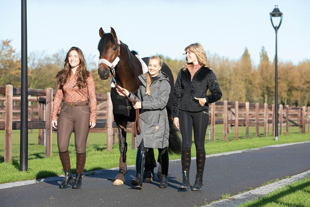 Sattel- & Stallzubehör