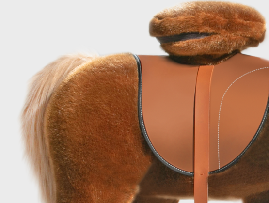 Das perfekte Pony-Reiten lernen leicht gemacht