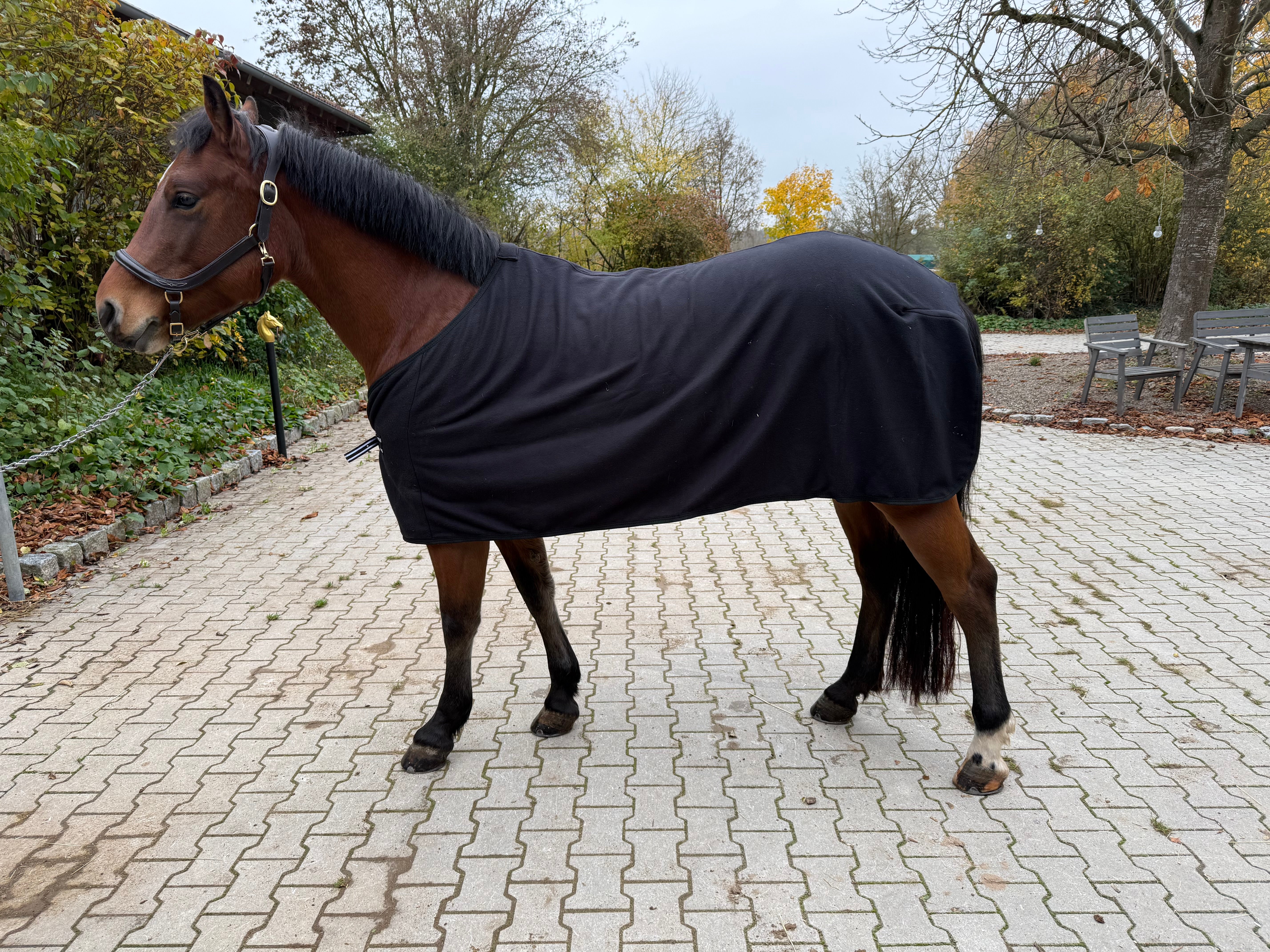 Abschwitzdecke Basic