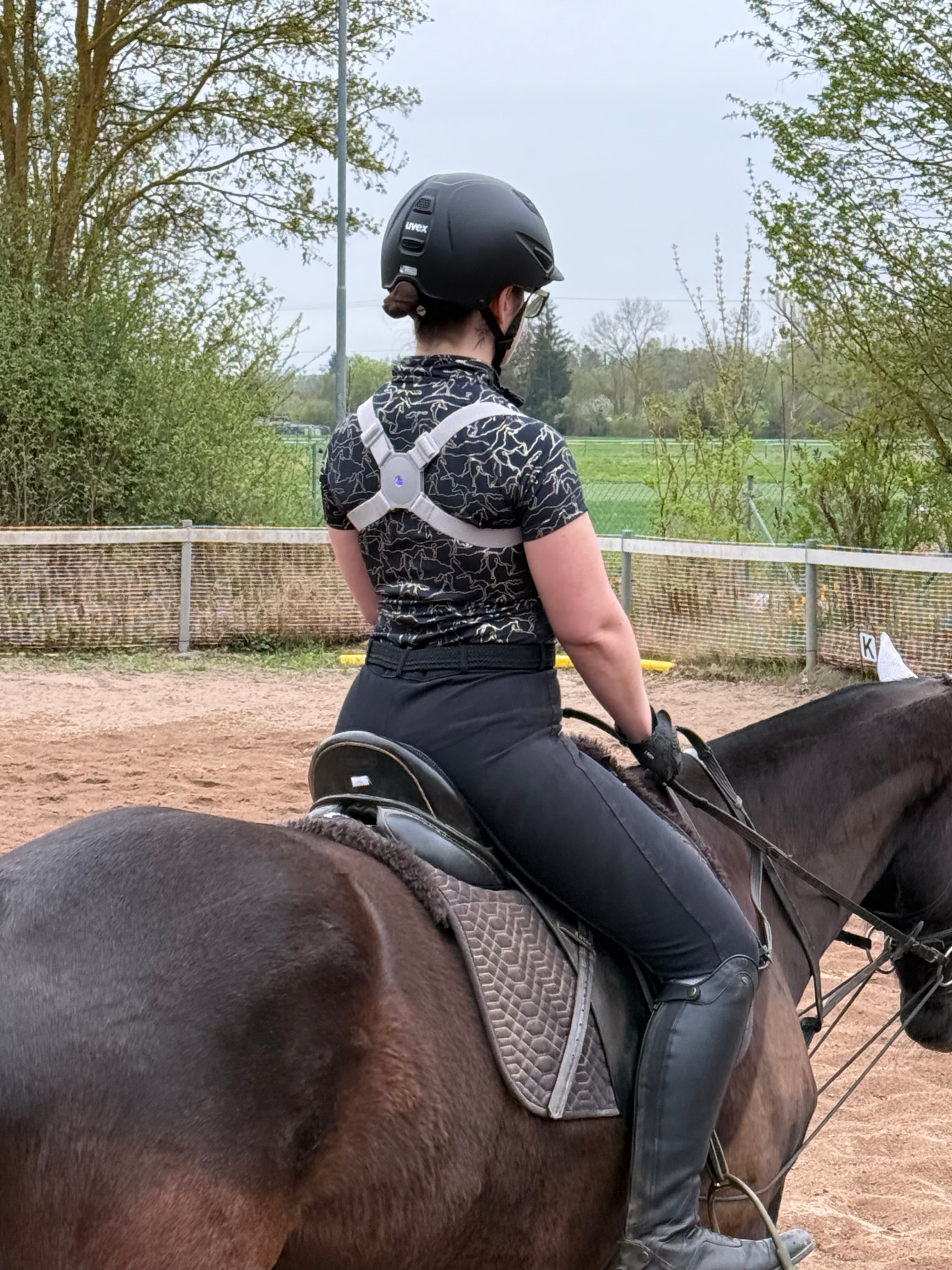 Vibra-Coach Trainingsgerät