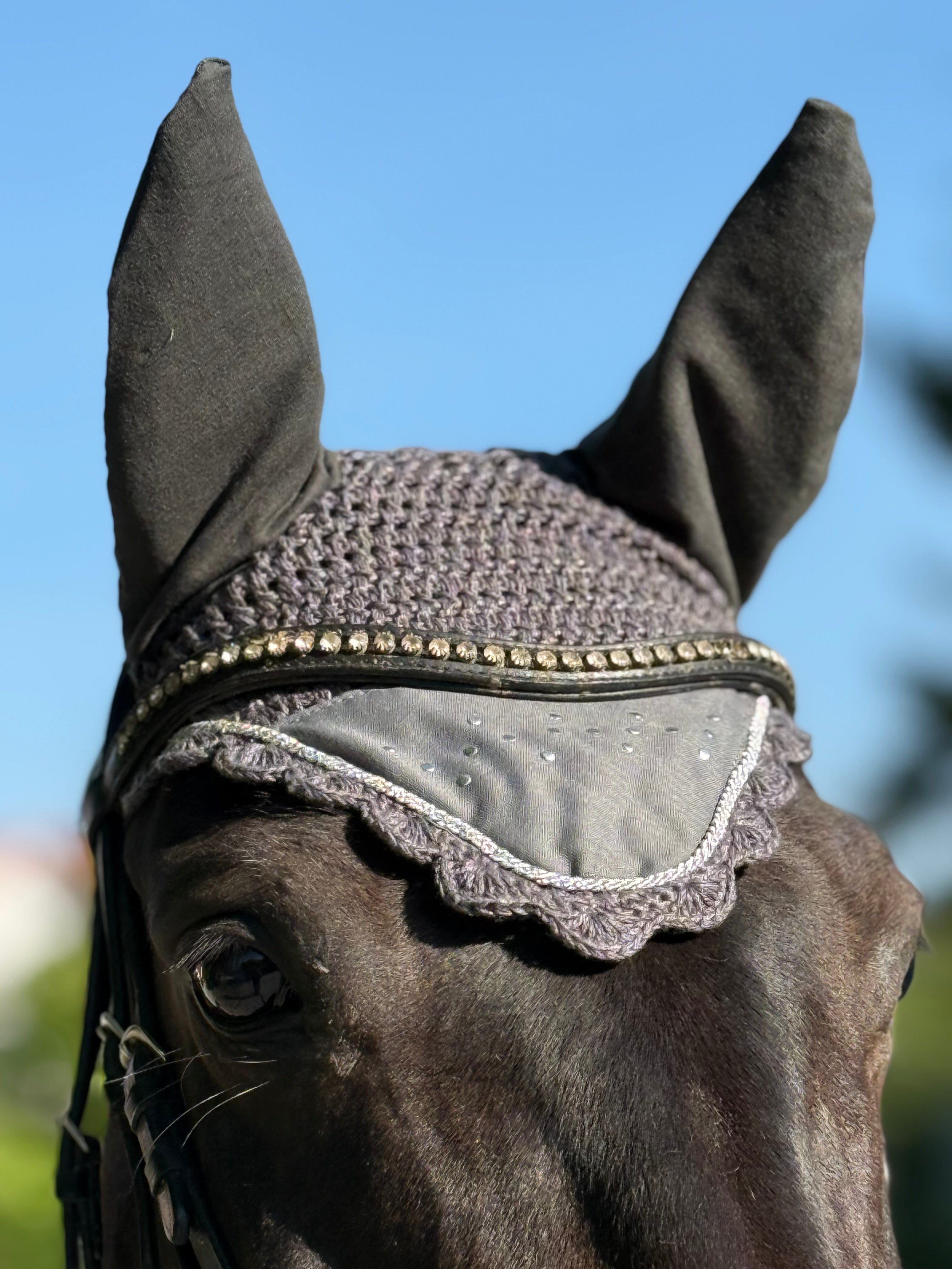 Fliegenohren Vollblut/Cob