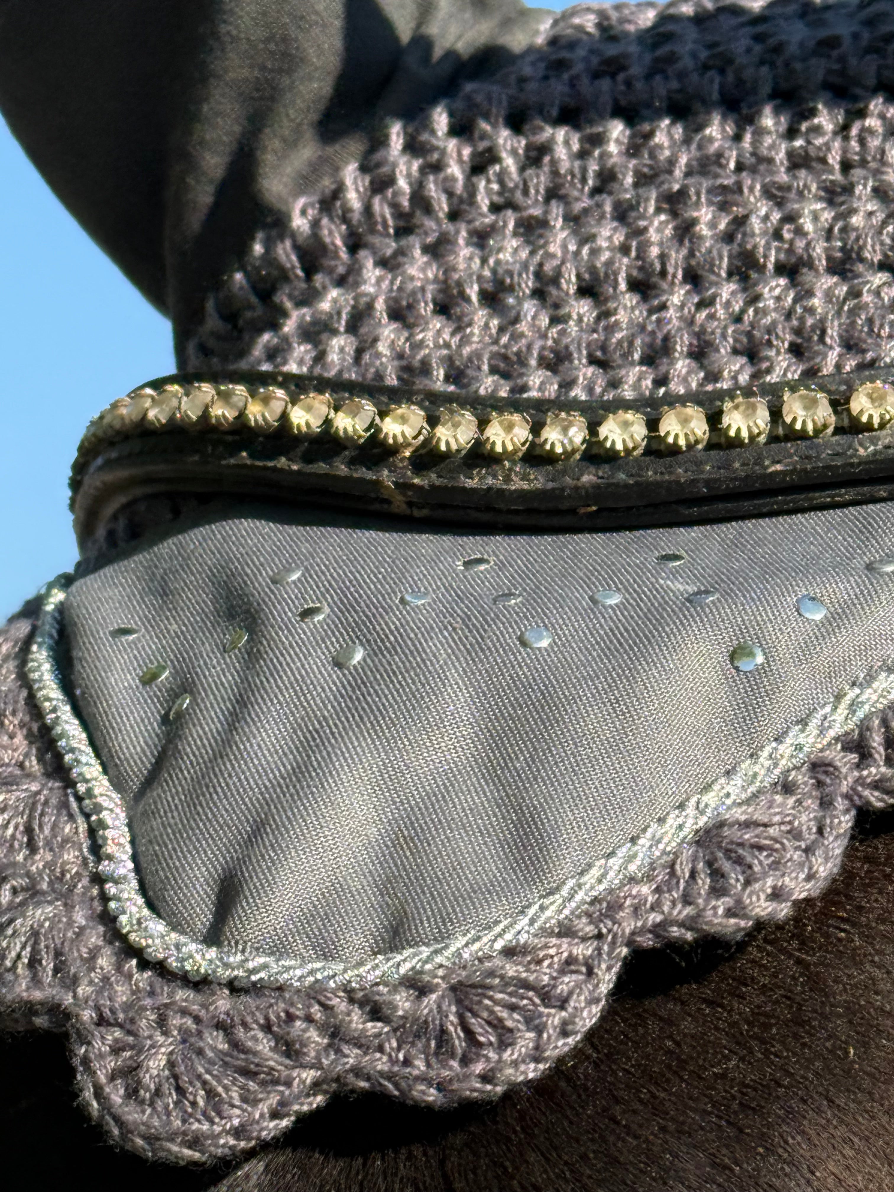 Fliegenohren Vollblut/Cob