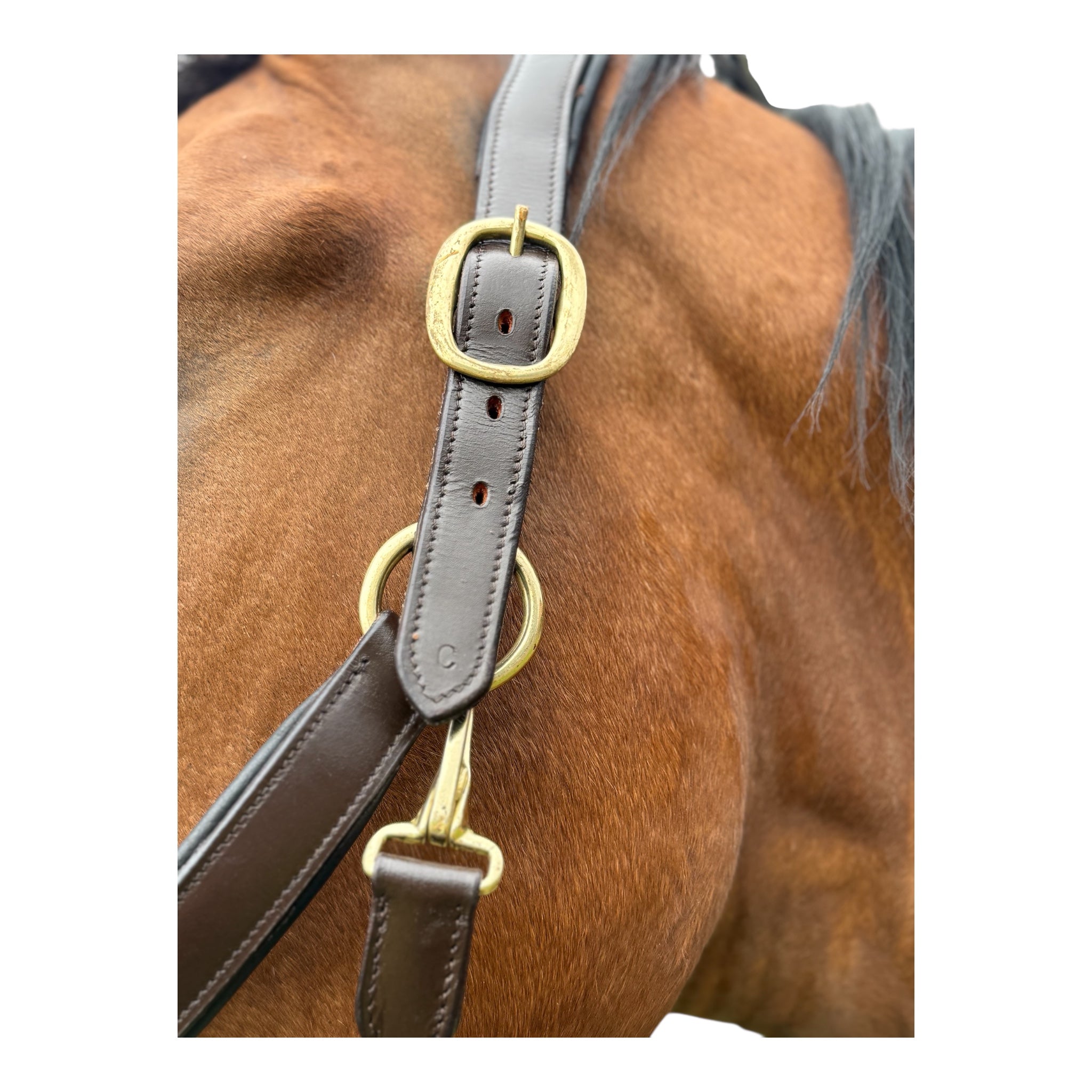 Anatomisches Lederhalfter