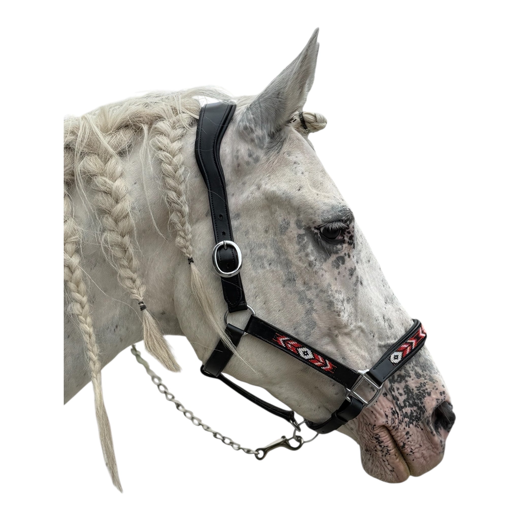 Anatomisches Lederhalfter -Perlen