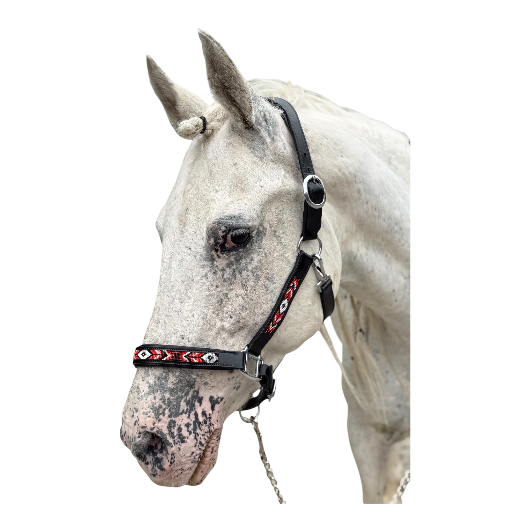 Anatomisches Lederhalfter -Perlen