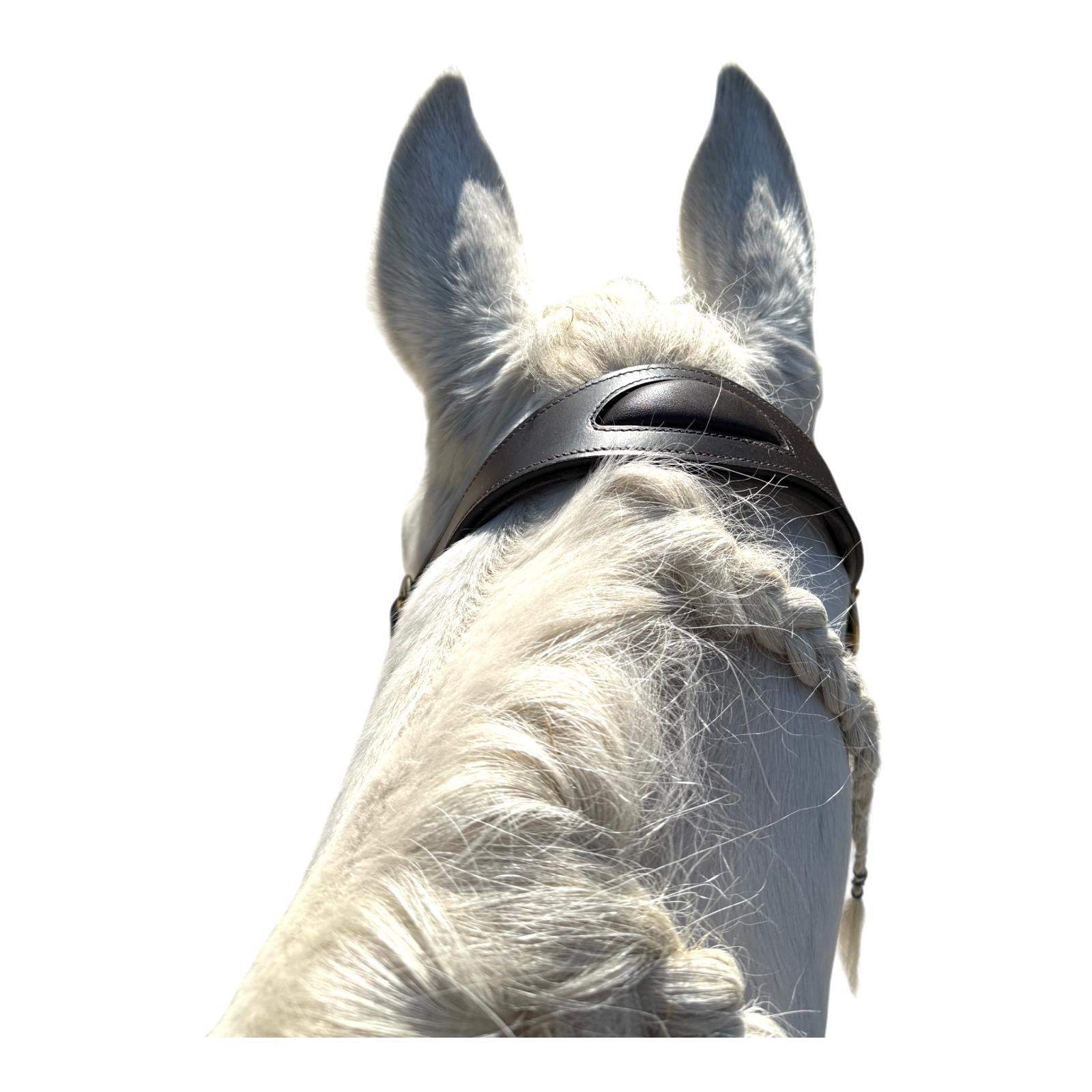 Lederhalfter dick gepolstert mit Führkette