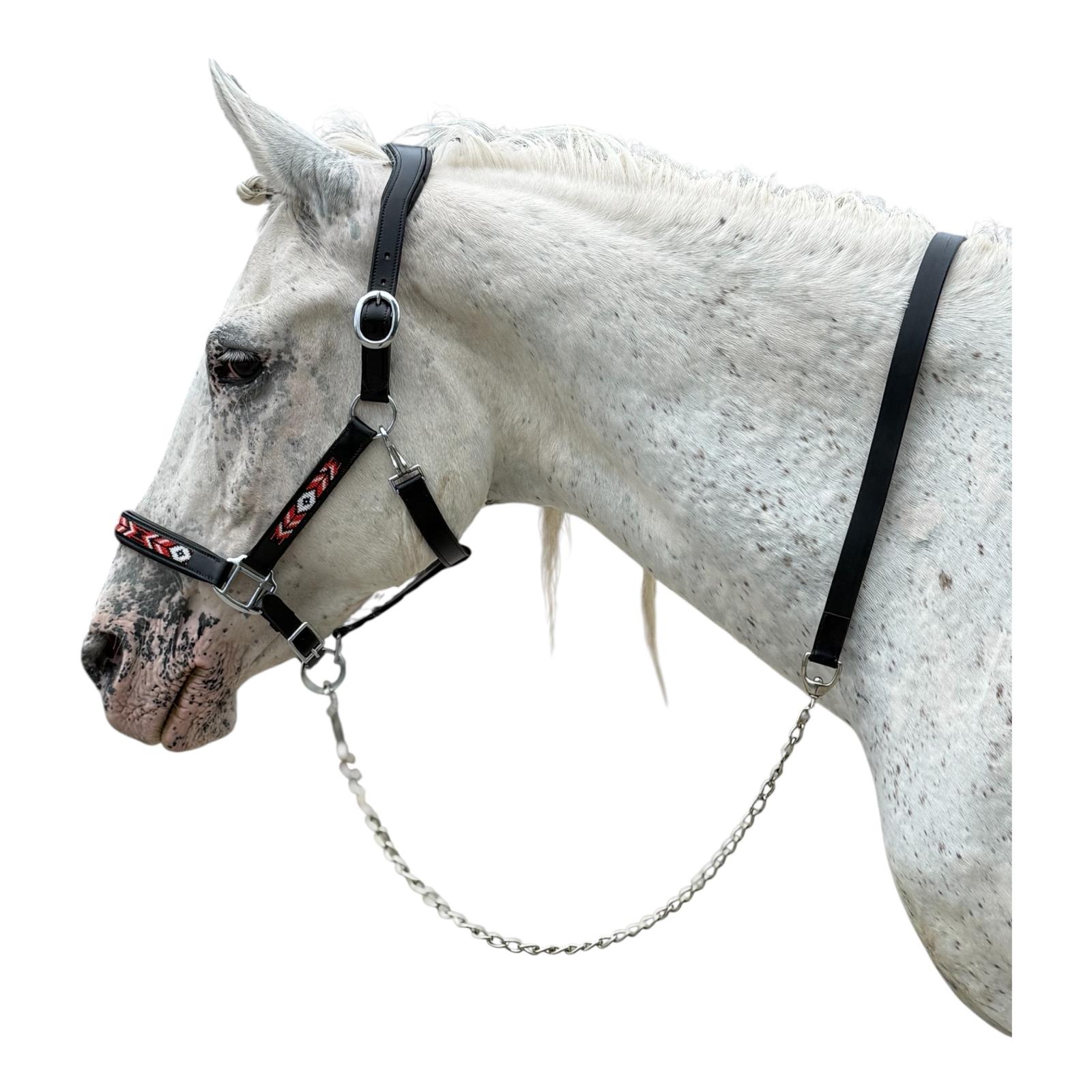 Lederführleine mit Kette