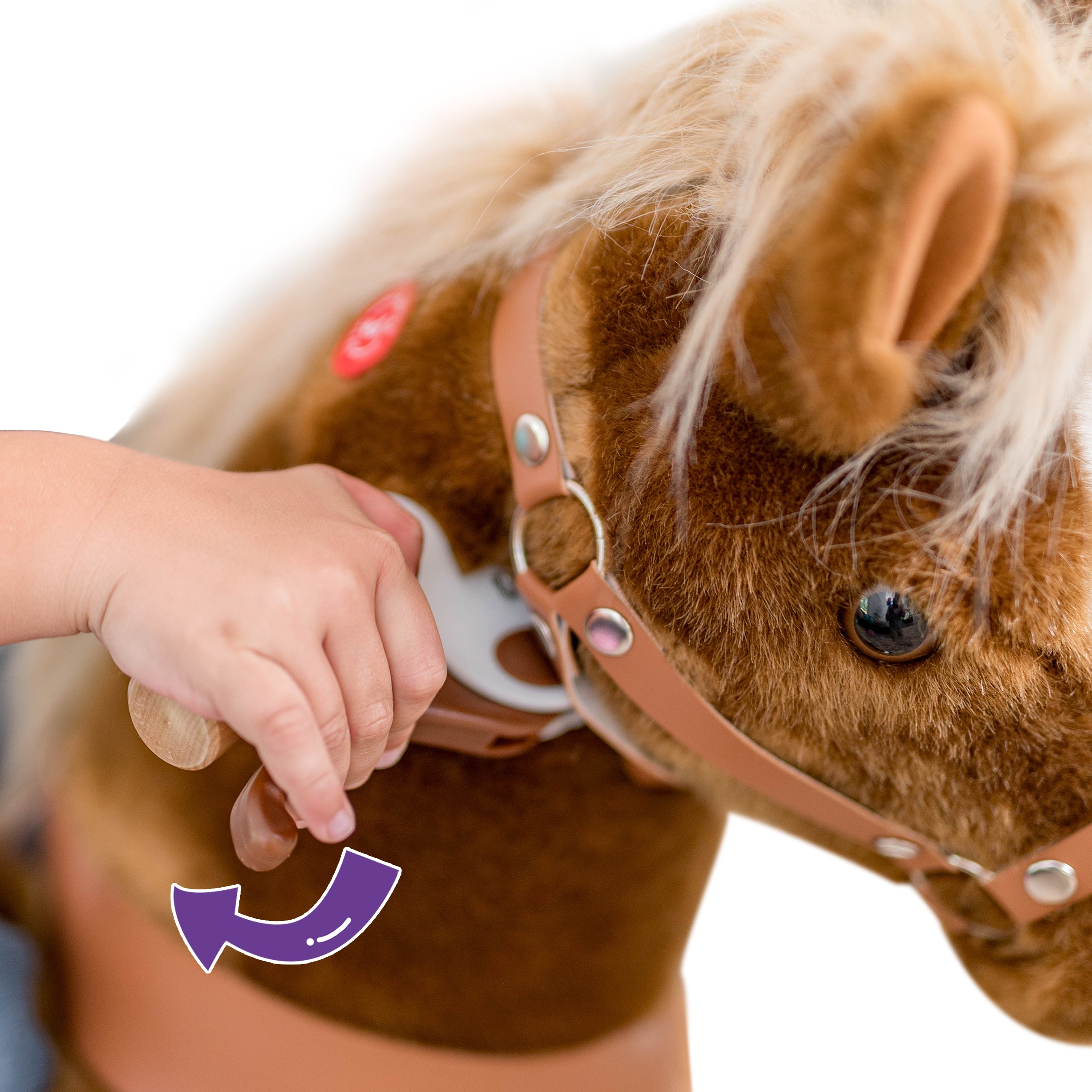PonyCycle® - Reitponys