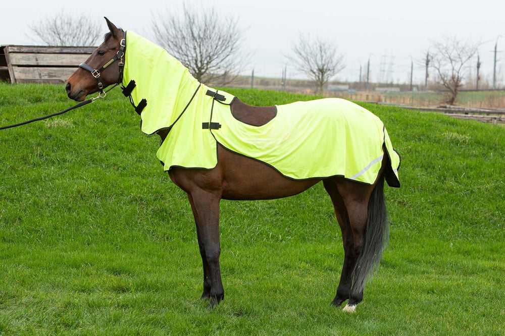 Ausreitdecke mit Reflektion, Fliegenschutz