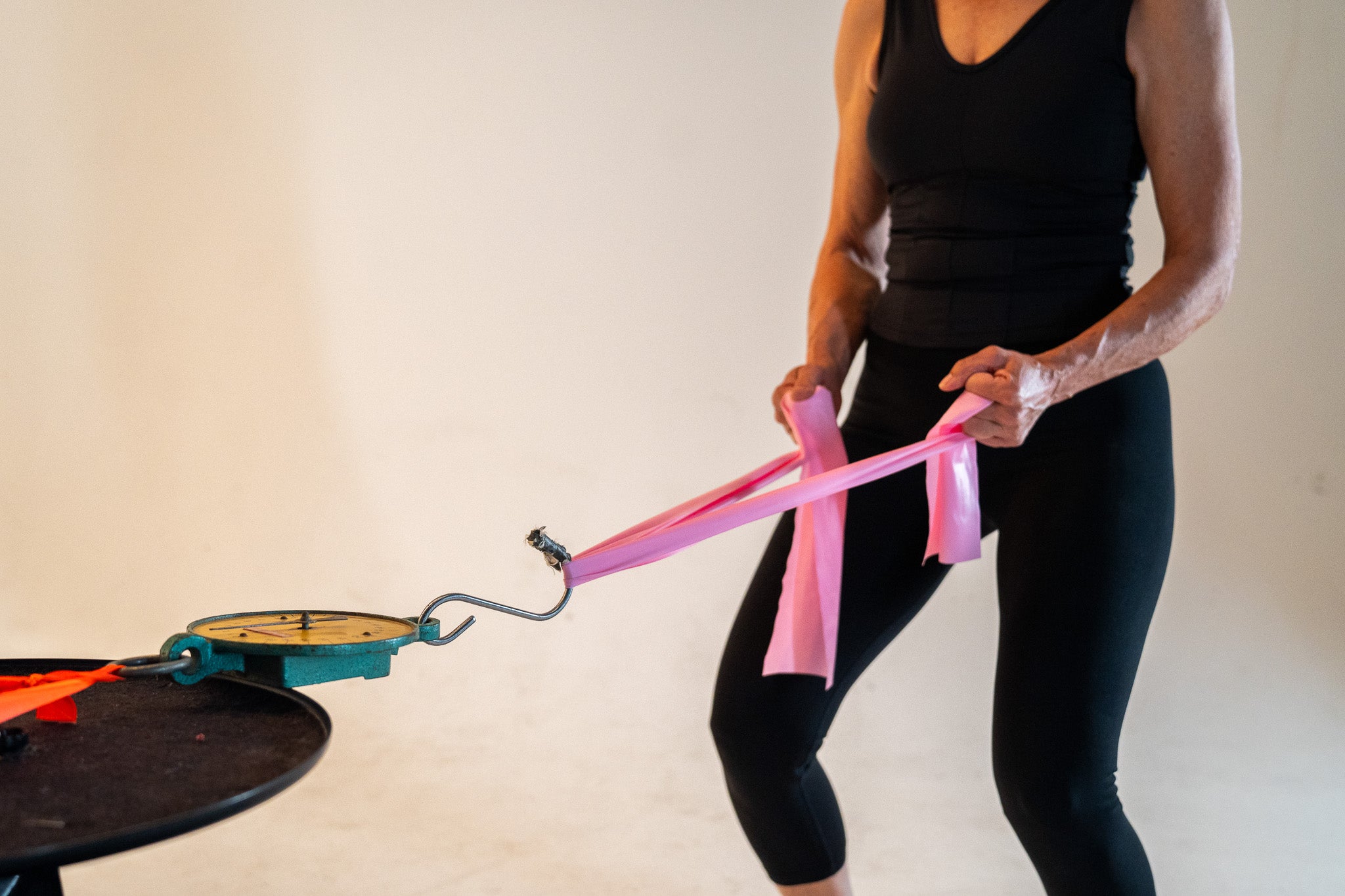 Fitness Bundle für besseres Reiten