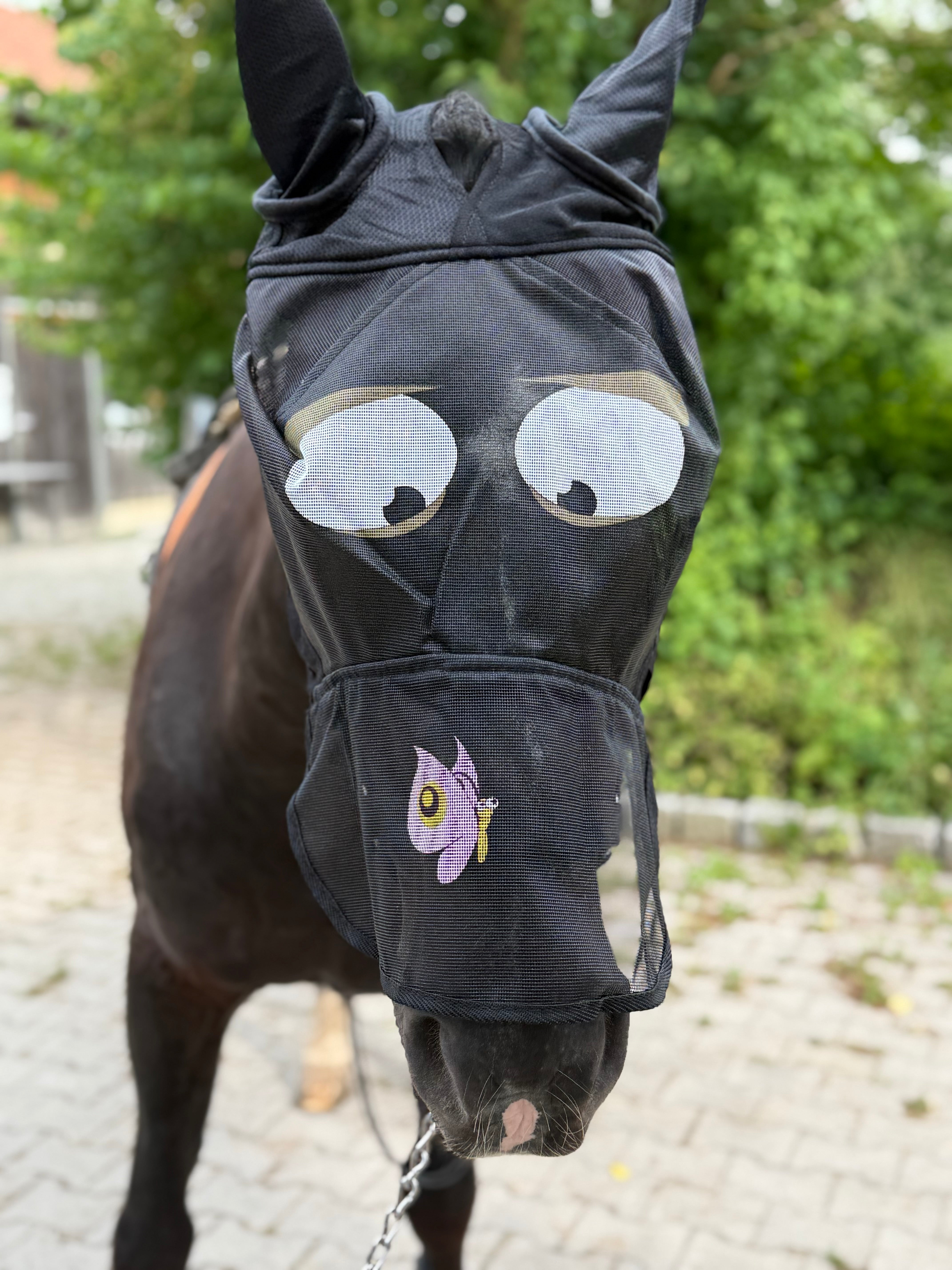 Fliegenmaske
