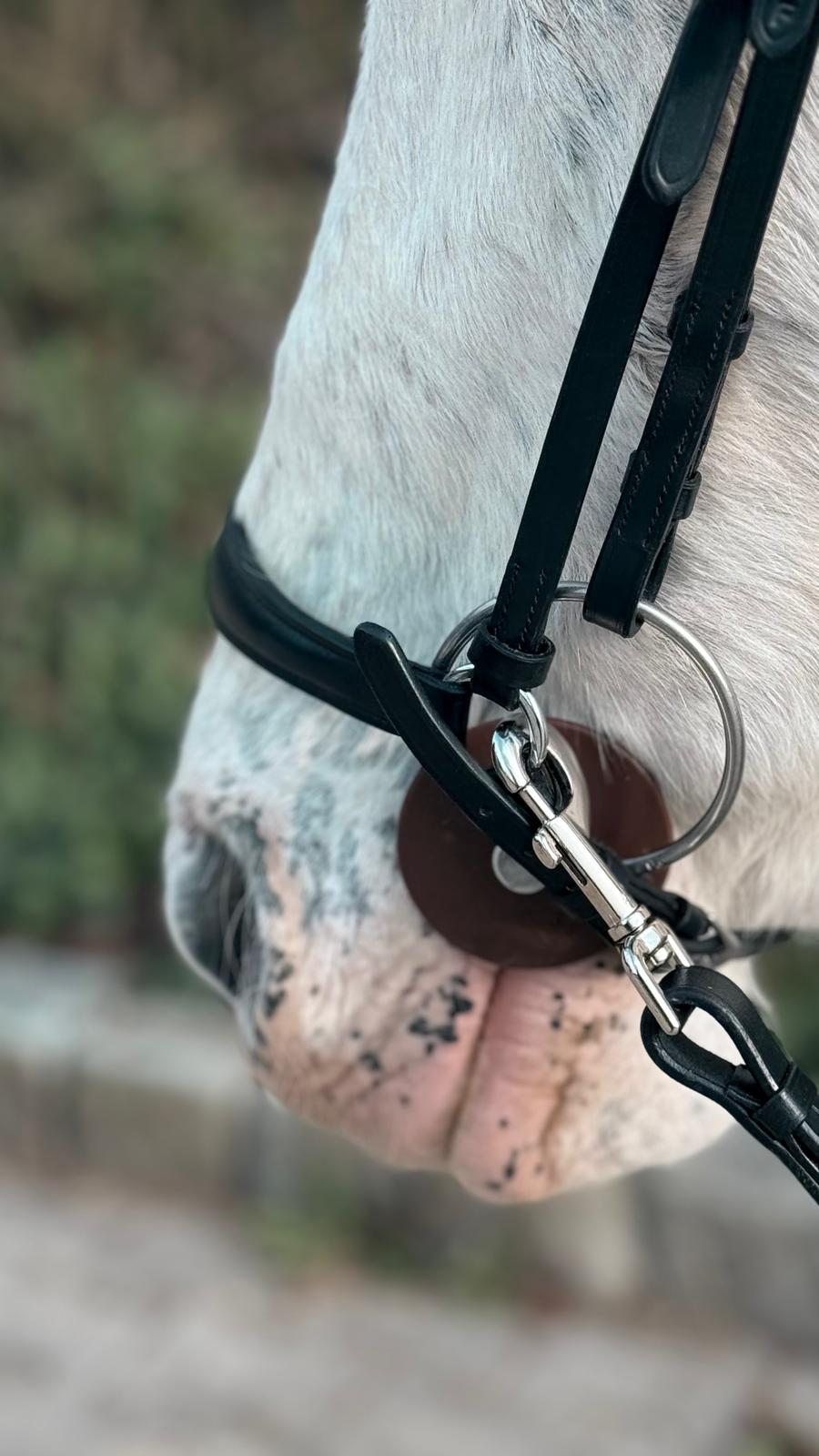 Lehrtrense: Reiten mit feiner Anlehnung