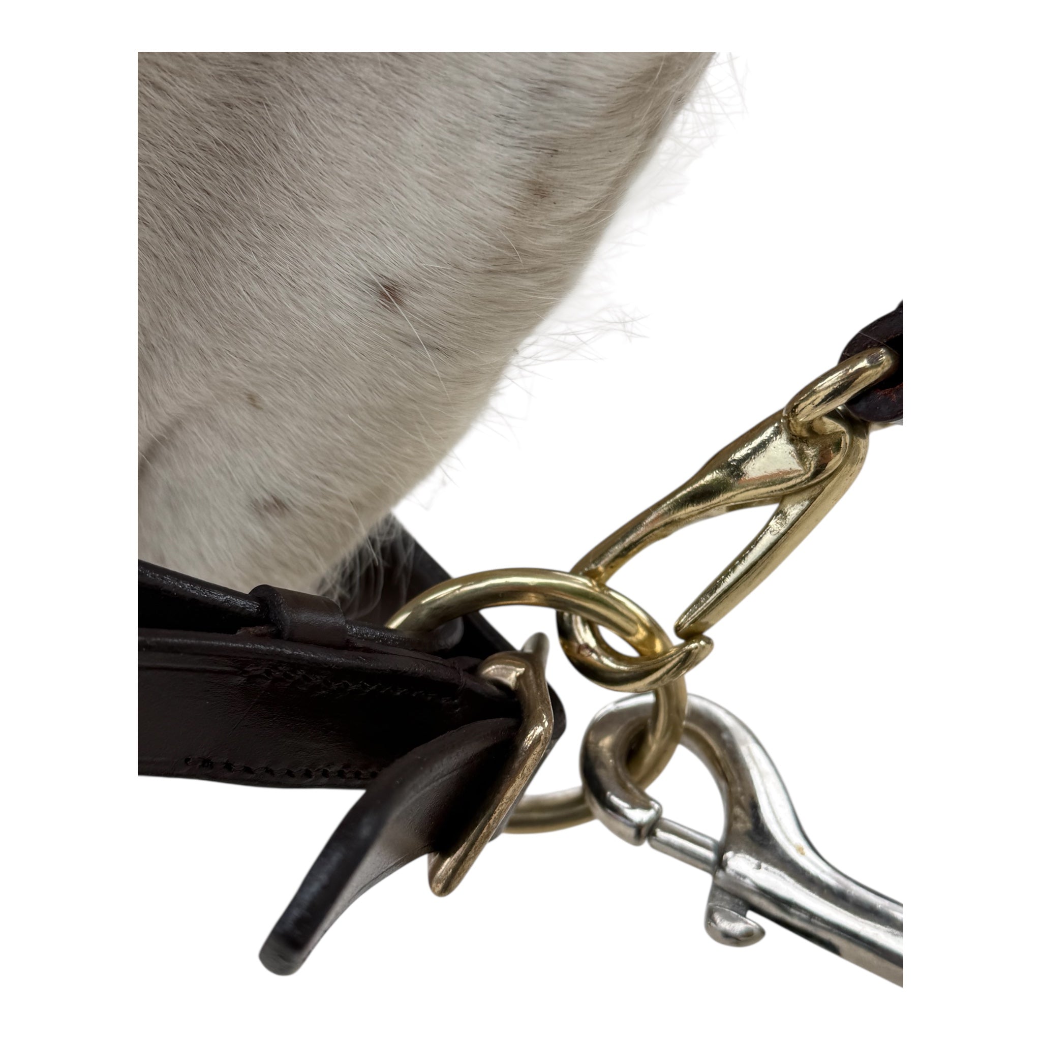 Lederhalfter dick gepolstert mit Führkette