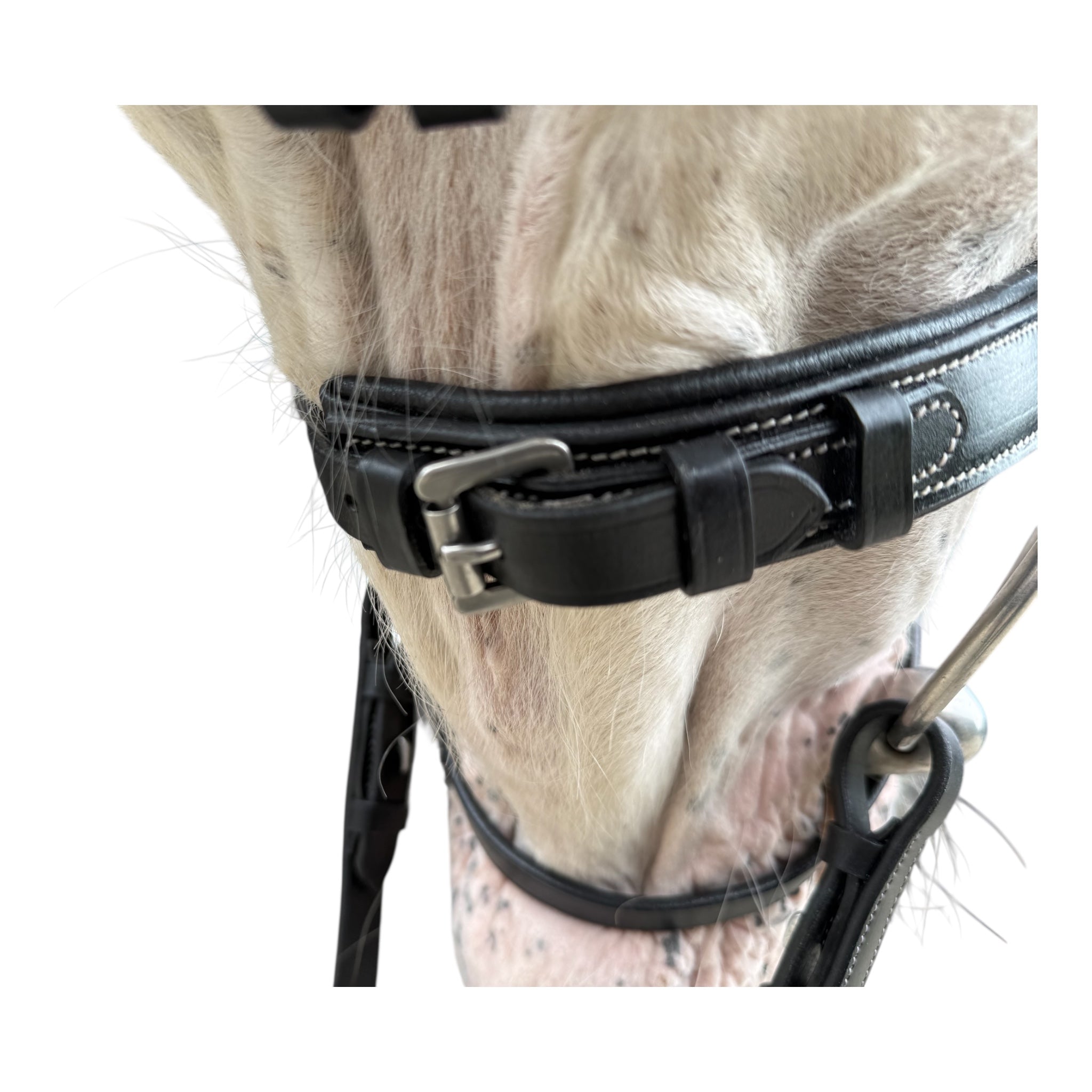 Trense mit Perlenstirnband