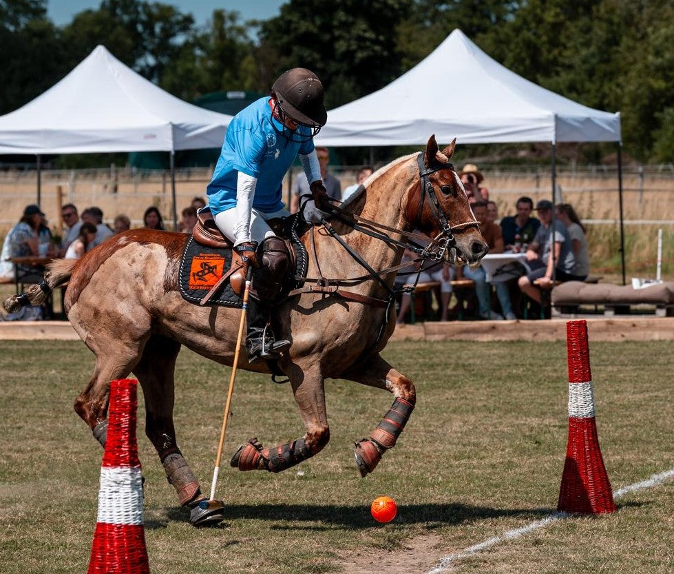 Gutschein Polo-Stunde